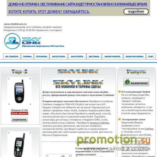 Архивное изображение: Skylink